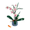Icons Orchidee (10311)