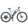 29" E-Mountainbike Graveler, 9-Gang