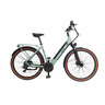 28" Trekking-E-Bike Utah 2.1, Damen