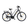 Trekking E-Bike TLR 7030