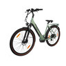 28" Trekking-E-Bike Utah 2.1, Damen