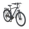 E-Bike Trekking Entdecker 5.3 Deluxe, Herren