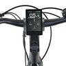 E-Bike Trekking Entdecker 5.3 Deluxe, Damen
