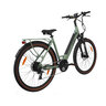 28" Trekking-E-Bike Utah 2.1, Damen