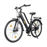 Trekking E-Bike TLR 7030