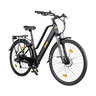 Trekking E-Bike TLR 7030