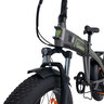 Falt-E-Bike F6 Safari