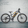 24“ E-Mountainbike Graveler, mit Hinterradmotor