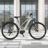 All Terrain E-Bike Terra 4.0, Rahmenhöhe 45 cm
