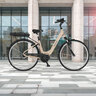 City-E-Bike CITA 1.8 522, kittgrau matt