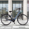 City-E-Bike CITA 2.1i 418, Rahmenhöhe 44 cm