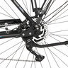 E-Bike Trekking Viator ETH 1861, Rahmenhöhe 50 cm