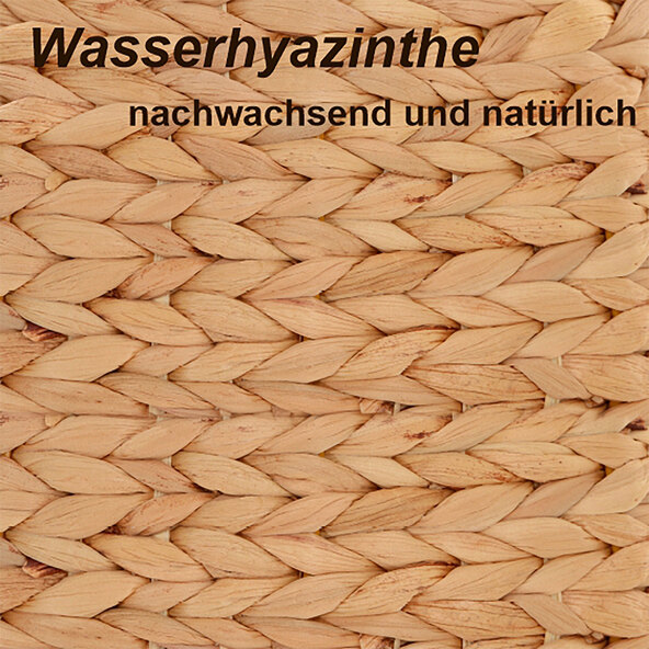 Kletteretage Wasserhyazinthe