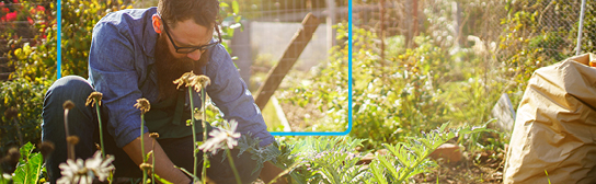 Mann erledigt Gartenarbeit in der Hocke.