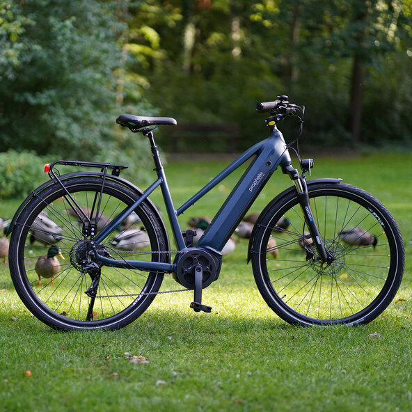 Trekking E-Bike Entdecker 3.0, Damen