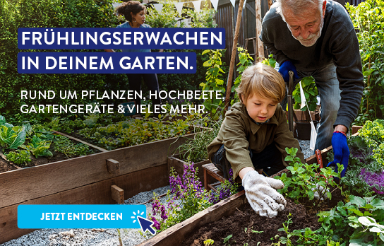 50_50_Header_ALDI_Onlineshop_TW_KW8_Gartenstart_544x348px_xs.jpg