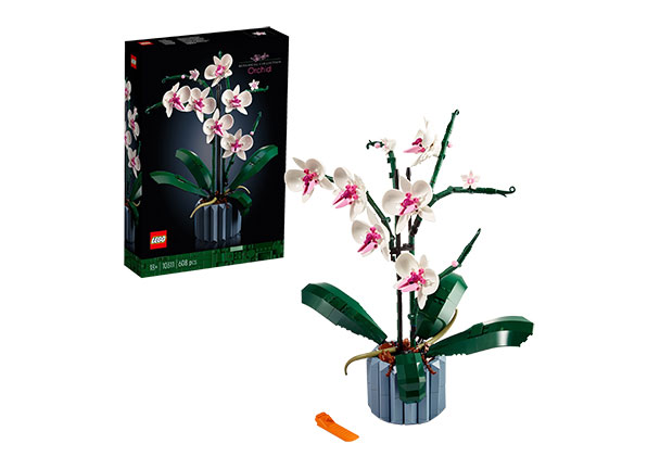 Icons Orchidee (10311)