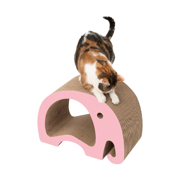 Aldi cat outlet scratcher